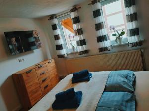 Postel nebo postele na pokoji v ubytování Ferienhaus zu den Ilsefällen
