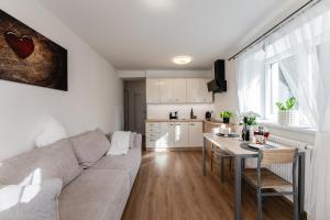 Kuchyň nebo kuchyňský kout v ubytování Apartmán Srdce Vysočiny