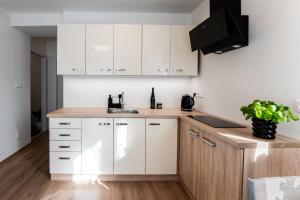 Kuchyň nebo kuchyňský kout v ubytování Apartmán Srdce Vysočiny
