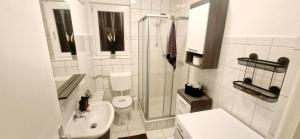 a bathroom with a shower and a toilet and a sink at Ferienwohnung LandLicht mit Terrasse in ruhiger Lage in Sulingen +44 photos