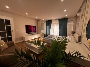 Μια τηλεόραση ή/και κέντρο ψυχαγωγίας στο Apartament central lux 1 cameră