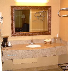 La salle de bains est pourvue d'un lavabo et d'un miroir. dans l'établissement Executive Inn and Suites Springdale, à Springdale