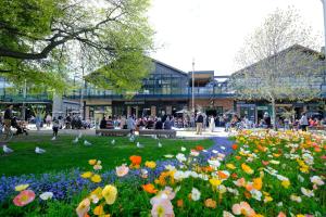 a group of people walking around a park with flowers at Modern 3 bed overlooking Hagley Park in Christchurch