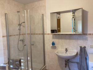 a bathroom with a shower and a sink at Alter Gutshof Kromlau Direkt am Schloss und Rhododendronpark, Terasse und Parkplatz in Kromlau +15 photos