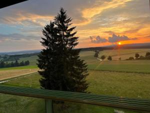 un pin dans un champ au coucher du soleil dans l'établissement Apartment mit Grünblick & Wintergarten im Schwarzwald, à Löffingen
