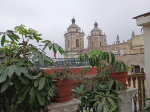 Um ponto turístico perto do hotel mais 20 fotos