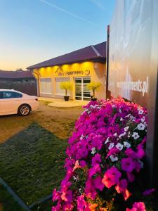 a bunch of flowers in front of a building at MoryńApartments in Moryń