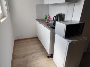 a small kitchen with a sink and a microwave at Studio Garden Parking Airport Eurexpo Groupama Stadium in Genas