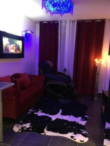 ein Wohnzimmer mit einem Sofa und einem TV in der Unterkunft Le Love Spa in Lyon