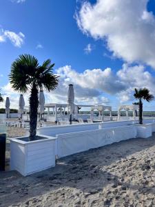 eine Reihe von weißen Tischen und Stühlen am Strand in der Unterkunft ZUHAUSE AM MEER mit Sonnenbalkon in Strand- und Altstadtnähe in Warnemünde + 20 Fotos