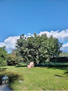 a tree in the middle of a field with a lamp at Villetta indipendente Shabby house in Buia