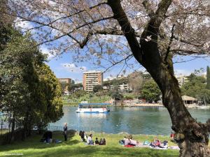 people sitting on the grass near a river with a boat at Urban Rifugio - Camera privata con bagno vicino EUR in Rome