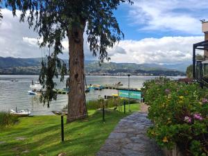 a tree next to a body of water with boats at La casaaa de Majo in Paipa