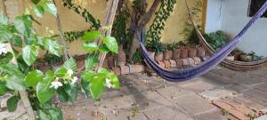 Taman di luar Mediterraneo Youth Hostel