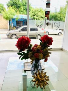 Fotografie z fotogalerie ubytování Laurel plaza 46 v destinaci Montería + 16 fotografií