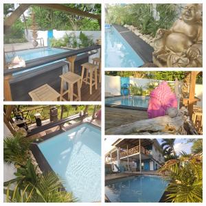 Bazén v ubytování Ti Oasis COLIBRI, 1 chambre, piscine, à 150m de la Plage nebo v jeho okolí