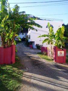 Foto de la galería de Ridgeway Guest House en Montego Bay