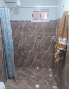 a bathroom with a shower with a stone floor at Araucaria in Puerto Esperanza