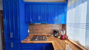 a blue kitchen with a stove and blue cabinets at Departamento Vistas Pátzcuaro 115 in Pátzcuaro +6 photos