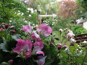 Foto dalla galleria di Charmantes chambres d'hôtes avec petit-déjeuner à Azay-le-Ferron - FR-1-591-674 ad Azay-le-Ferron Altre 26 foto
