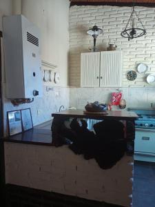 Afbeelding uit fotogalerij van Casa Chica in Cafayate +12 foto's