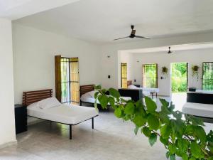 a living room with two beds and a plant at Hostal Homún Oro Verde in Homún
