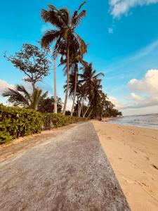 a dirt road leading to the beach with palm trees at Beach Star Villa Beruwala in Beruwala