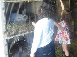 Fotografie z fotogalerie ubytování Chambres d'hôtes familiales à Vecoux, nature et activités - FR-1-589-739 v destinaci Vecoux