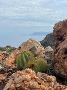 Paesaggio naturale nelle vicinanze dell'affittacamere