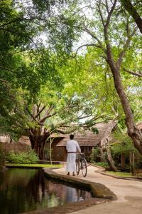 a person standing next to a bike in a park at Sigiriya Village in Sigiriya