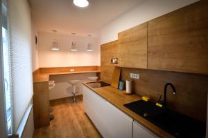 Kuchyň nebo kuchyňský kout v ubytování CASA BOX PREMIUM free garage + 37 fotografií