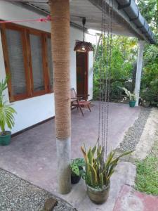 a porch of a house with a swing at Aruna Villa in Unawatuna
