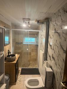 une salle de bain avec une douche avec des toilettes et un lavabo dans l'établissement Gite Les Quatre Alouettes, à Mazières-de-Touraine