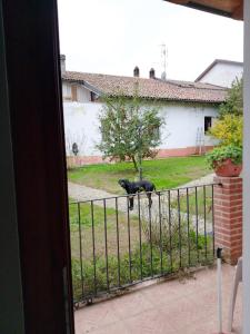 Zahrada ubytování Cascina Trapella