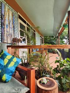 Zahrada ubytování Surjios Guest House