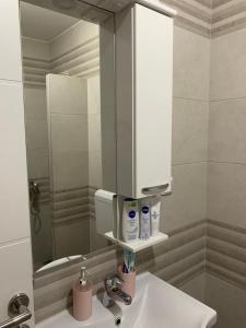 Koupelna v ubytování Apartman Sanja
