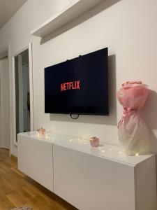 TV a/nebo společenská místnost v ubytování Apartman Sanja
