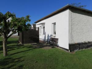 a white building with a bench next to a tree at Bungalow Alms in Ribnitz-Damgarten