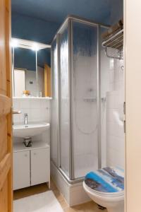 Koupelna v ubytování Ferienwohnung Alpenglück + 35 fotografií