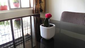 Χώρος καθιστικού στο 3BHK hosted by bollywood celebrity