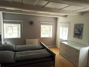 a bedroom with a bed and two windows at Grußschinner Häusl in Großschönau