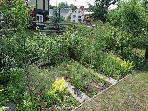 a garden with bushes and flowers in a yard at Grußschinner Häusl in Großschönau +17 photos