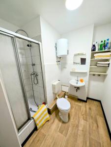 a bathroom with a shower and a toilet and a sink at FeWo Elbtalaue in Lanz