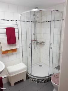 a bathroom with a shower with a toilet and a sink at Ferienwohnung Ackermann in Ribnitz-Damgarten