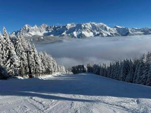Una pista de esquí con vistas a una montaña cubierta de nieve. en Appartements by Chalet Reiteralm -SKI IN SKI OUT, en Schladming
