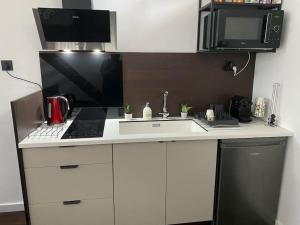 Kuchyň nebo kuchyňský kout v ubytování Appart dans villa EUREXPO LDLC ARENA GROUPAMA STADIUM