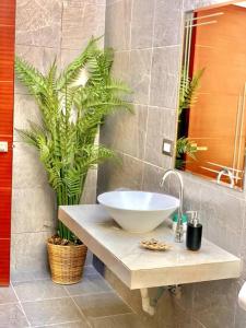 Fotografie z fotogalerie ubytování Villa Roman Marino VIP v destinaci El Conacaste