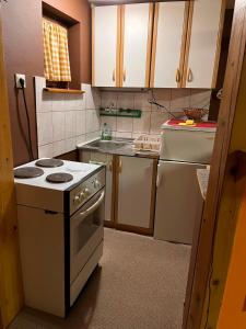 a small kitchen with a stove and a refrigerator at Vikendica Šipovac in Jahorina