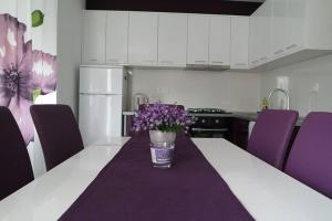 Kuchyň nebo kuchyňský kout v ubytování Apartments Jadranka