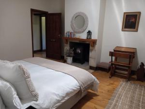 1 dormitorio con 1 cama, chimenea y silla en A2B Eco Farm, Byrne Valley, KZN, en Byrne